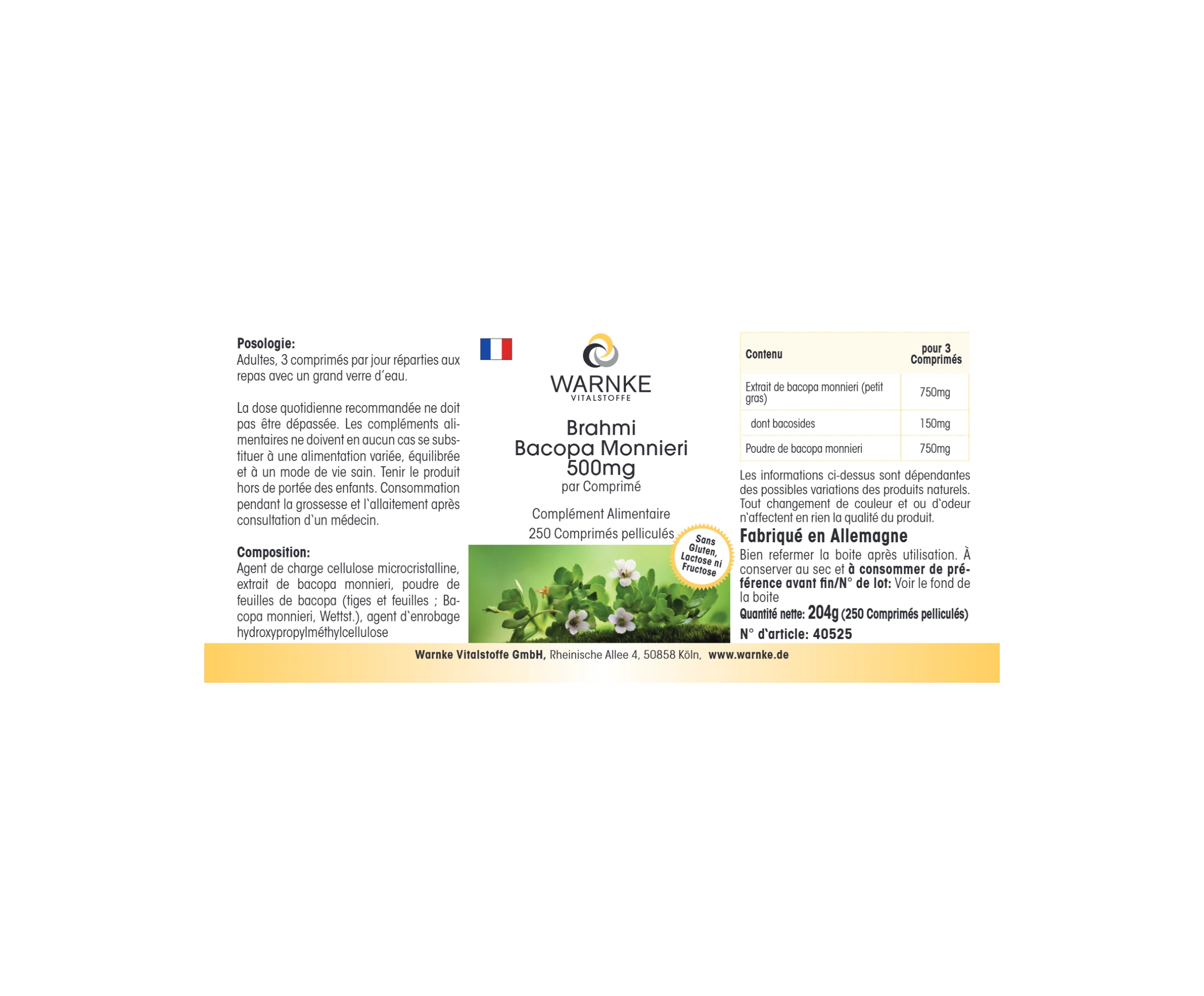 Brahmi Bacopa Monnieri 500mg - 250 comprimés pelliculés - Végan | Warnke Vitalstoffe
