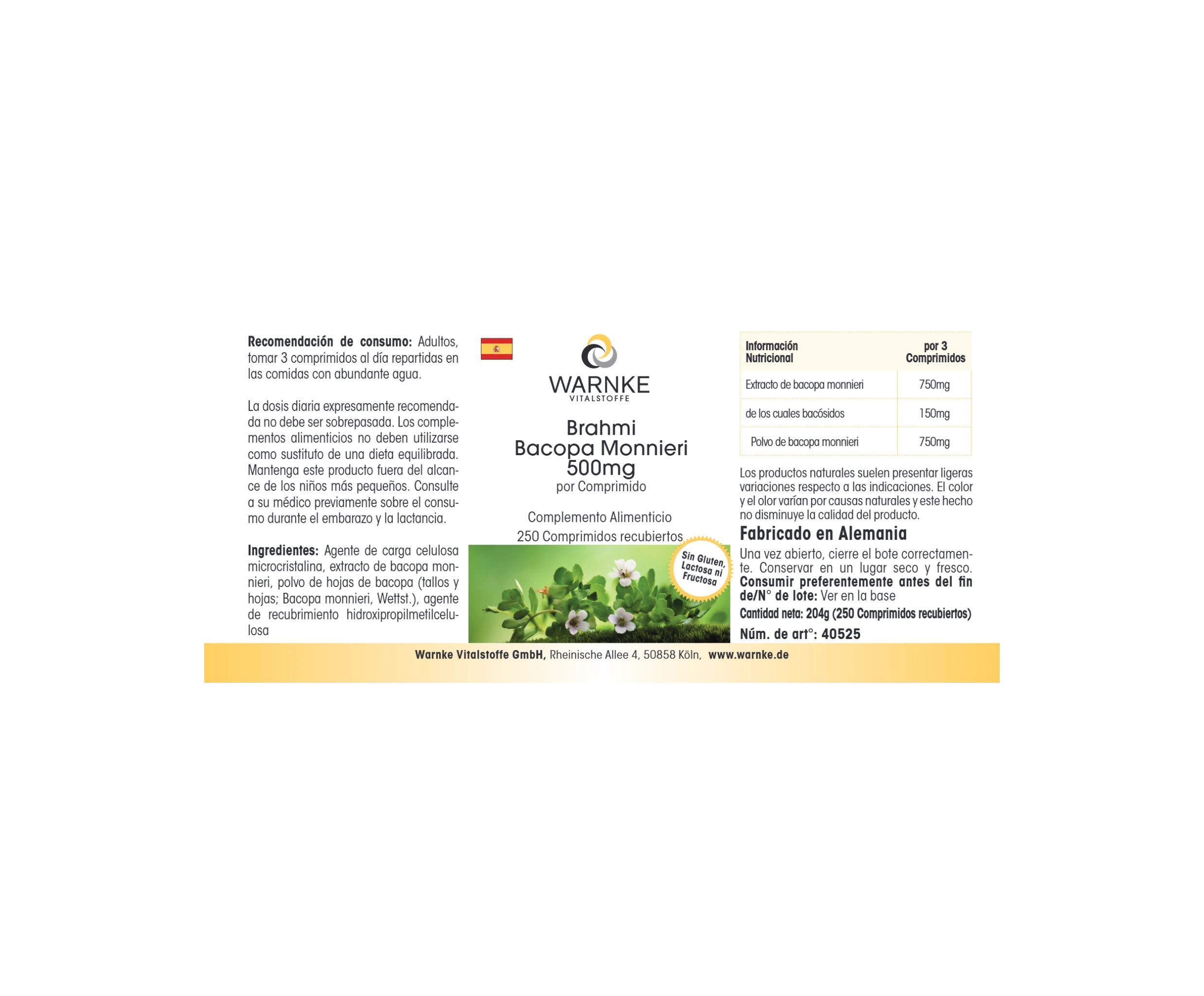 Brahmi Bacopa Monnieri 500mg - 250 comprimés pelliculés - Végan | Warnke Vitalstoffe