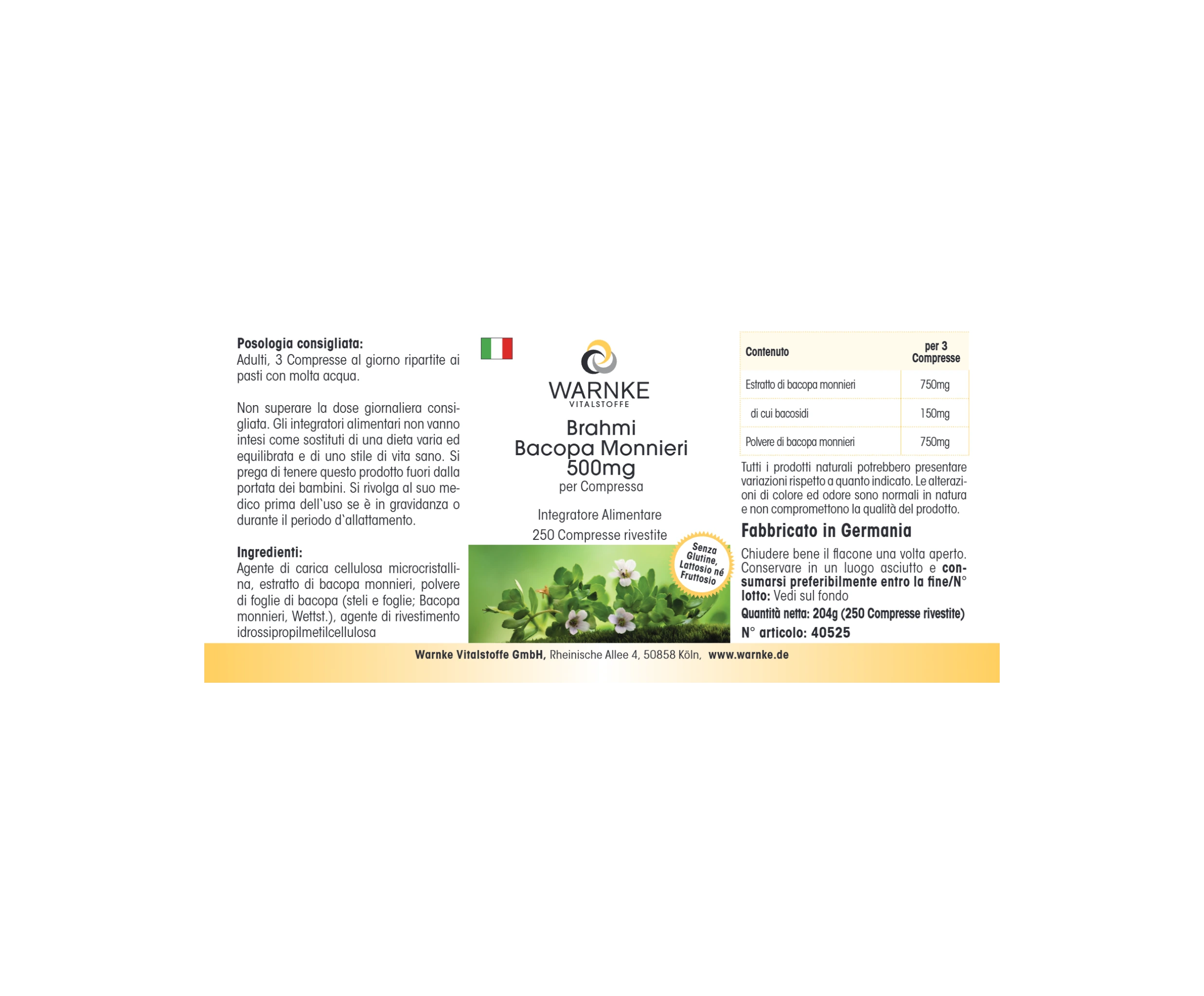 Brahmi Bacopa Monnieri 500mg - 250 comprimés pelliculés - Végan | Warnke Vitalstoffe