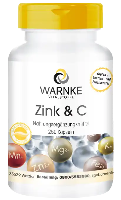 Zink & Vitamine C 250 Capsules