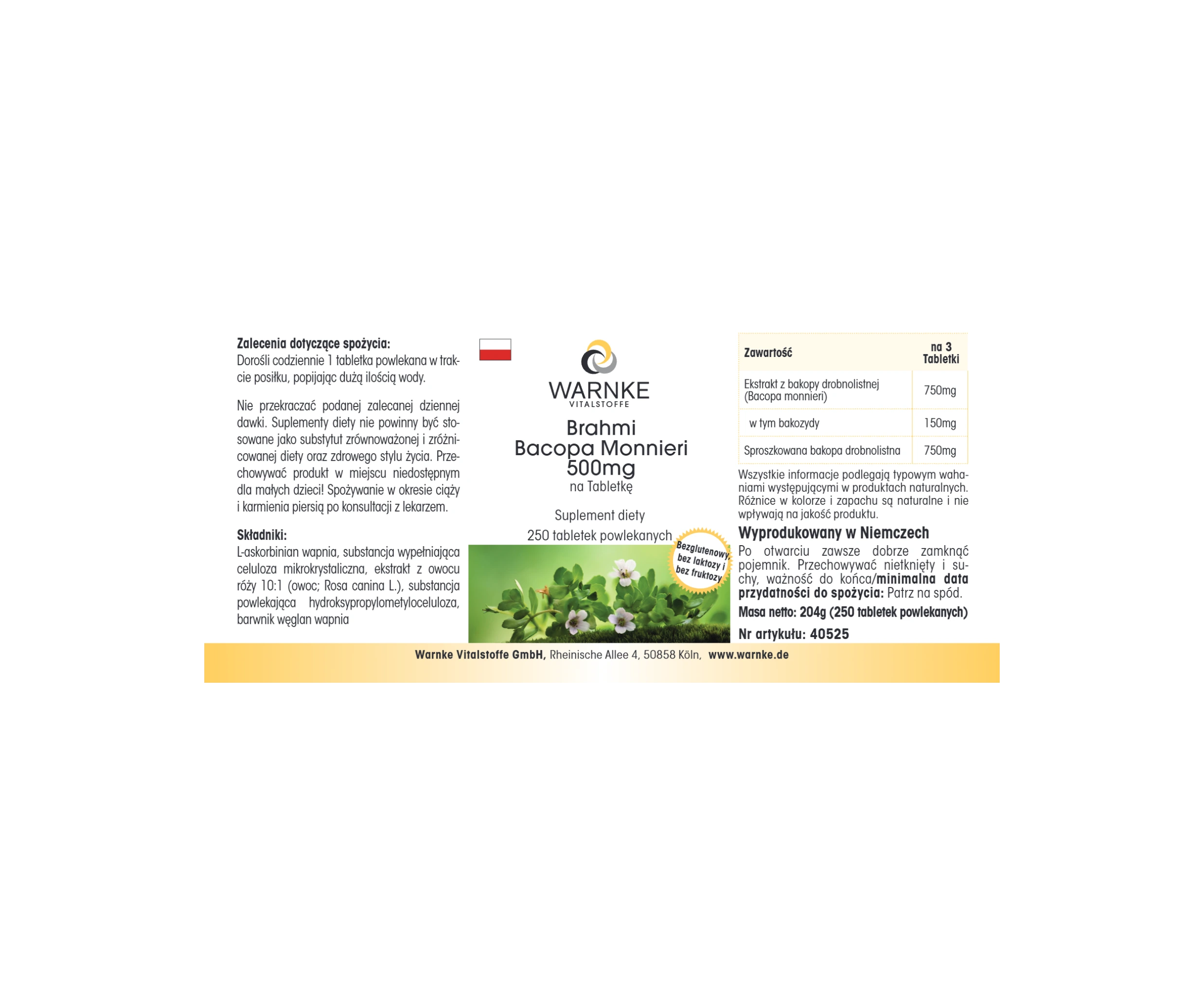 Brahmi Bacopa Monnieri 500mg - 250 comprimés pelliculés - Végan | Warnke Vitalstoffe