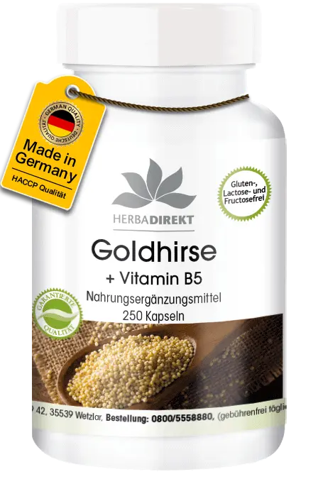 Goldhirse + Vitamin B5 - 250 Kapseln - mit Pantothensäure - für Energie, geistige Leistung uvm. | Warnke Vitalstoffe Goldhirse + Vitamin B5 - 250 Kapseln - mit Pantothensäure - für Energie, geistige Leistung uvm. | Warnke Vitalstoffe