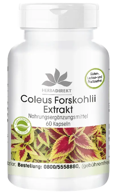 Coleus Forskohlii Extract 50mg