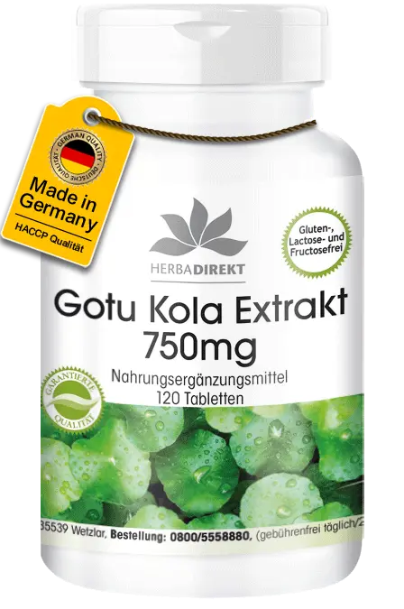 Gotu Kola Extrakt 750mg - 120 Tabletten - mit Vitamin C und Zink - für Immunsystem, Haut uvm. | Warnke Vitalstoffe Gotu Kola Extrakt 750mg - 120 Tabletten - mit Vitamin C und Zink - für Immunsystem, Haut uvm. | Warnke Vitalstoffe