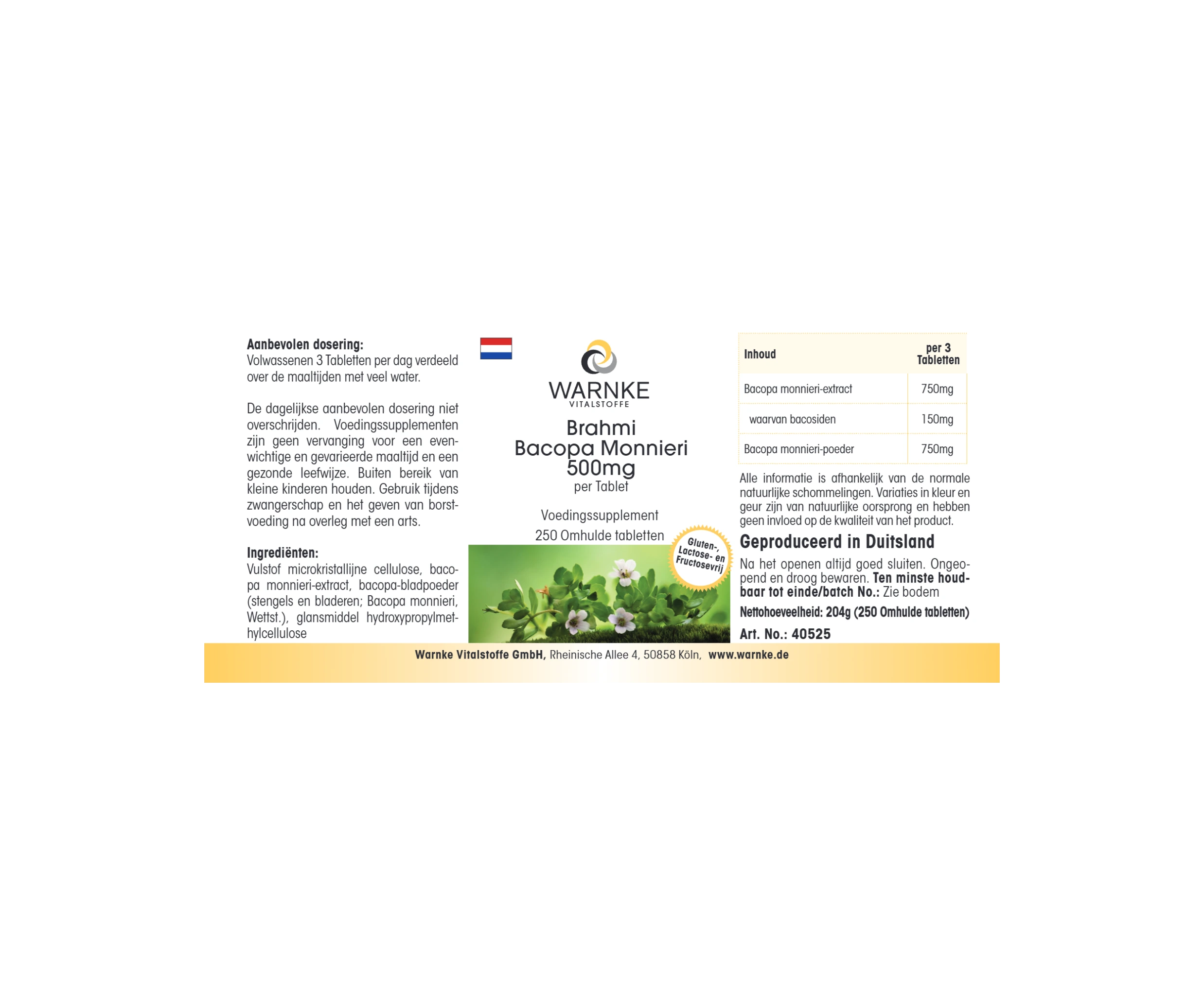 Brahmi Bacopa Monnieri 500mg - 250 comprimés pelliculés - Végan | Warnke Vitalstoffe