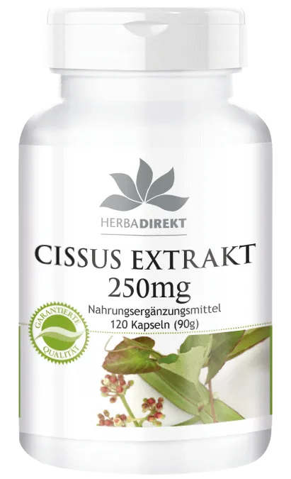 Cissus extract 250mg