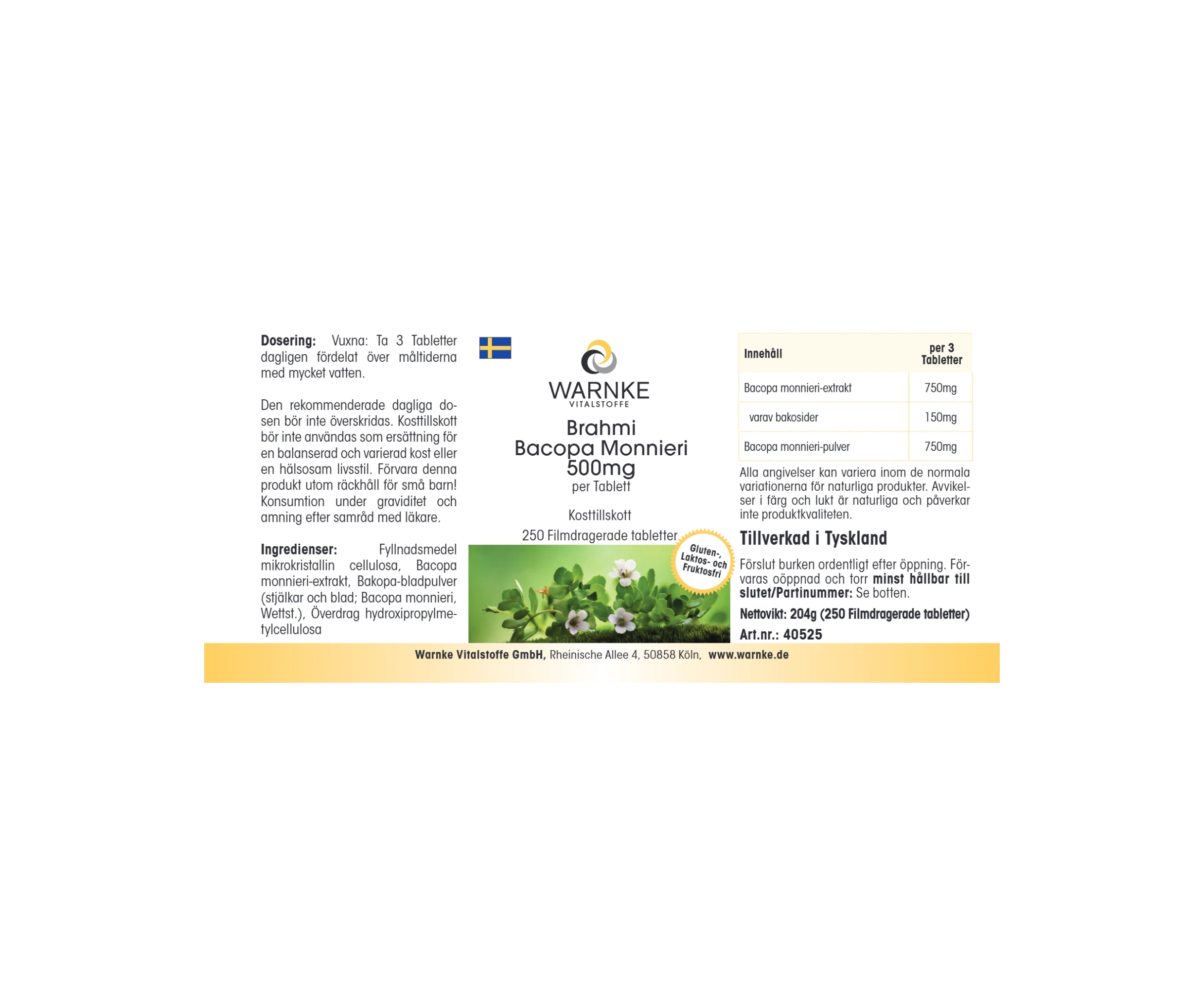Brahmi Bacopa Monnieri 500mg - 250 comprimés pelliculés - Végan | Warnke Vitalstoffe