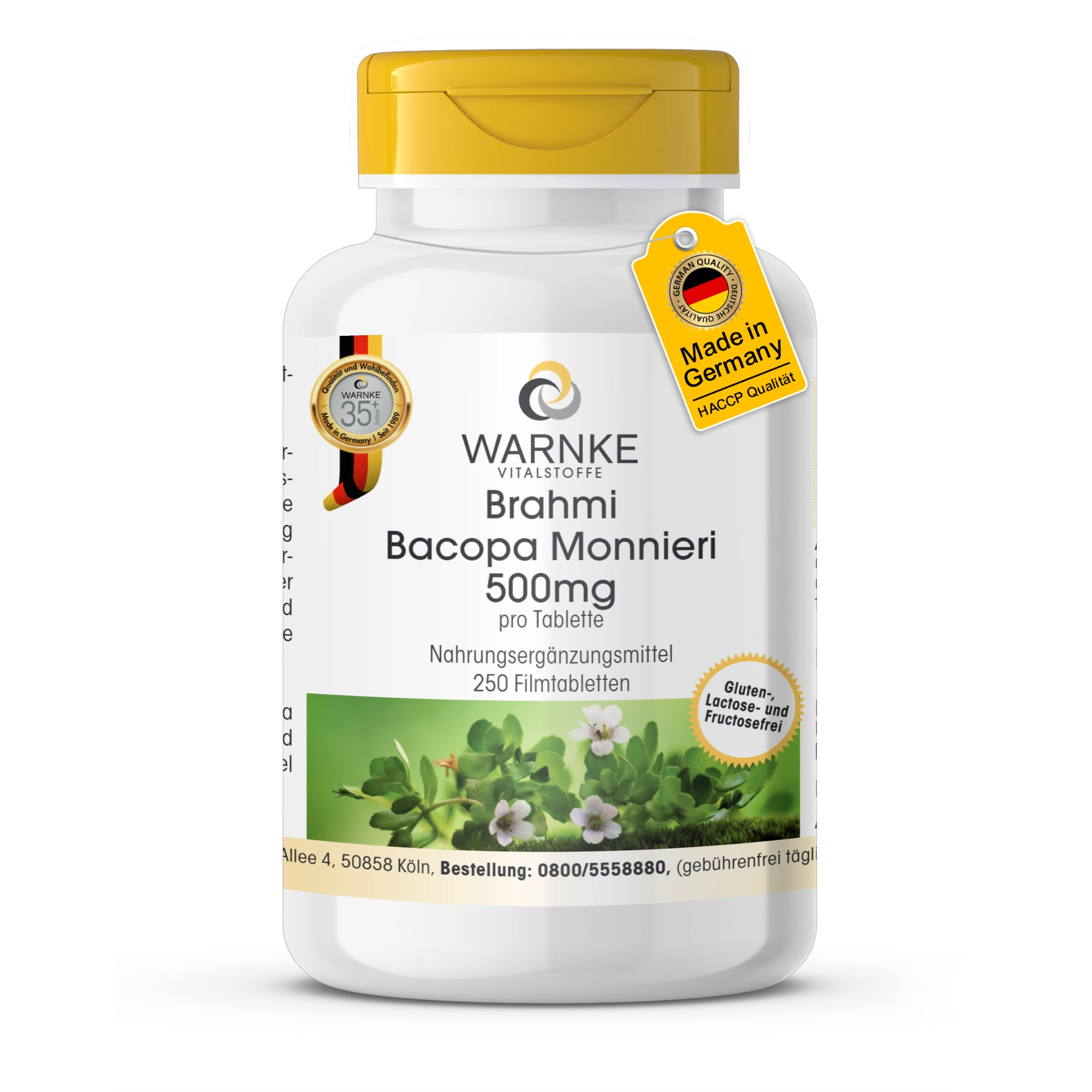 Brahmi Bacopa Monnieri 500mg - 250 comprimés pelliculés - Végan | Warnke Vitalstoffe