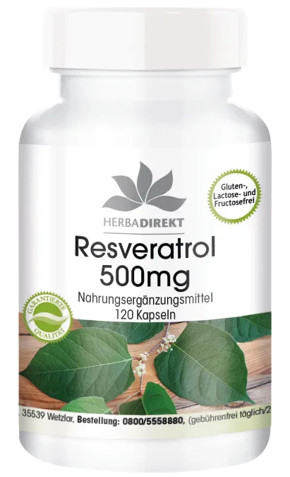 Resveratrol 500mg aus Knöterich-Extrakt 120 Kapseln