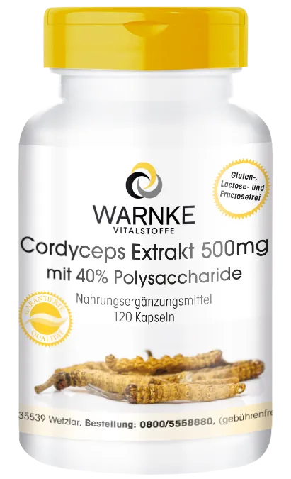 Extrait de cordyceps 500mg, 40% de polysaccharides