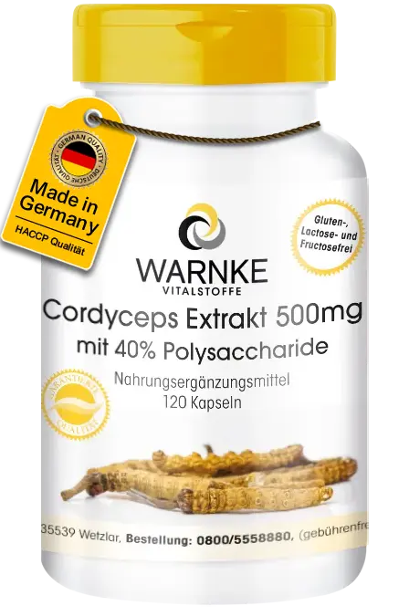 Cordyceps Extrakt 500mg mit 40% Polysaccharide - 120 Kapseln - Vegan | Warnke Vitalstoffe Cordyceps Extrakt 500mg mit 40% Polysaccharide - 120 Kapseln - Vegan | Warnke Vitalstoffe