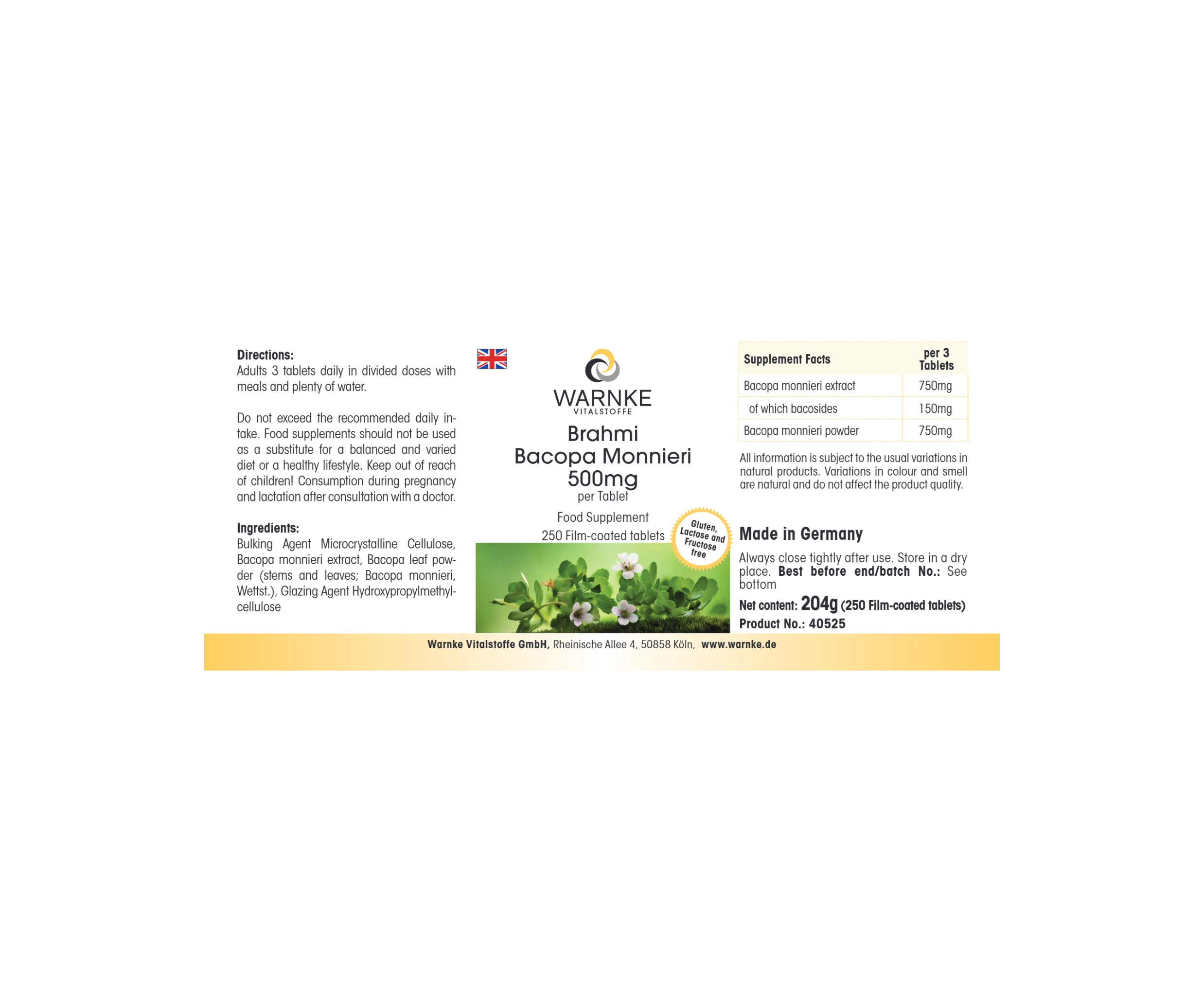 Brahmi Bacopa Monnieri 500mg - 250 comprimés pelliculés - Végan | Warnke Vitalstoffe