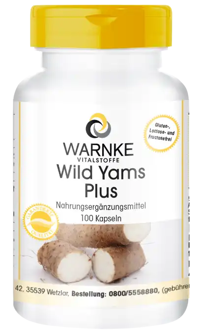 Wild Yam-extract met vitamines 100 capsules