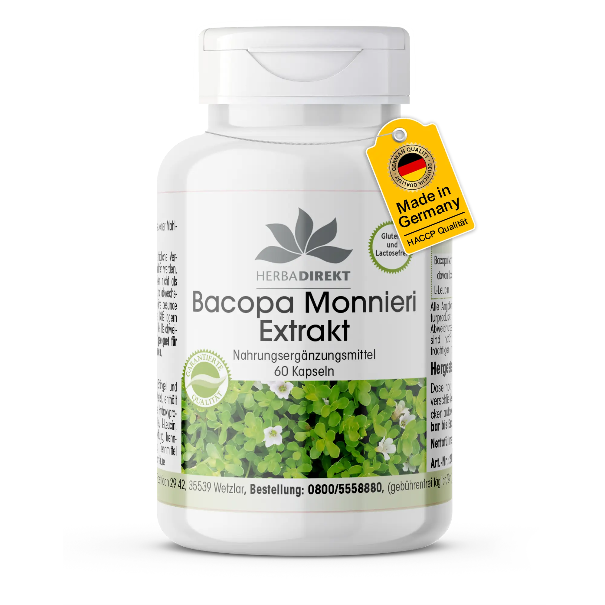 Bacopa Monnieri Extrakt - 60 Kapseln - Schluckfreundlich - Hochdosiert & Vegan | Warnke Vitalstoffe