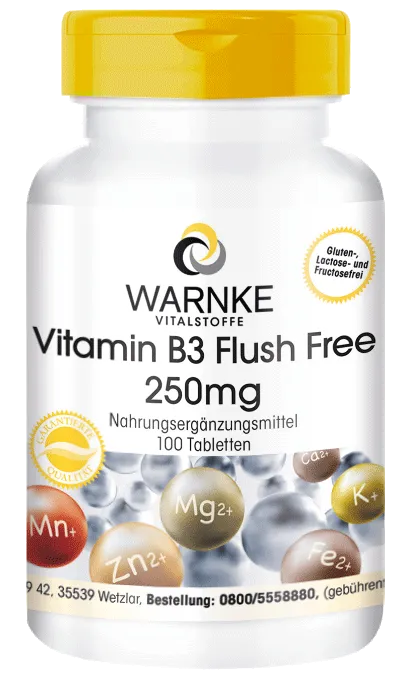 Vitamina B3 250mg Flush free