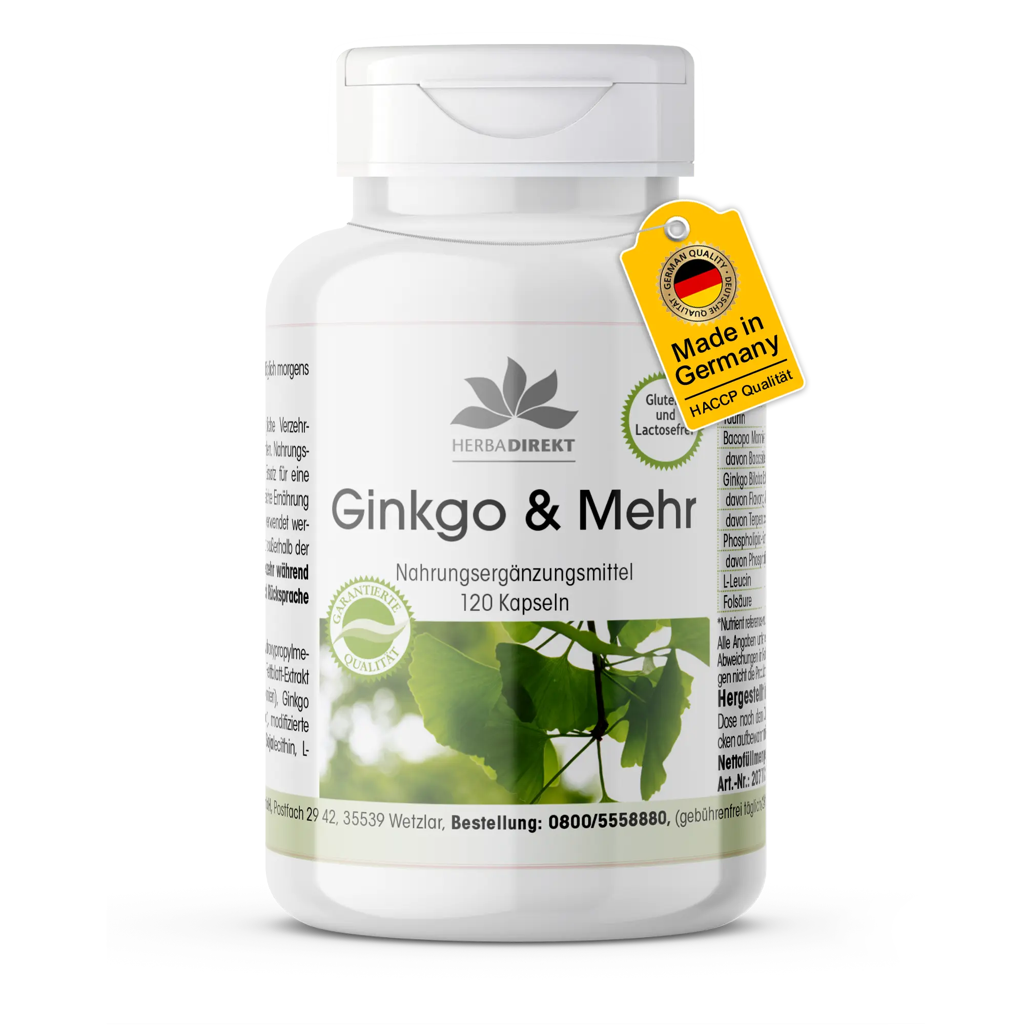 Ginkgo & Mehr - 120 Kapseln - Bacopa Monnieri-Extrakt mit Folsäure uvm. - Vegan | Warnke Vitalstoffe