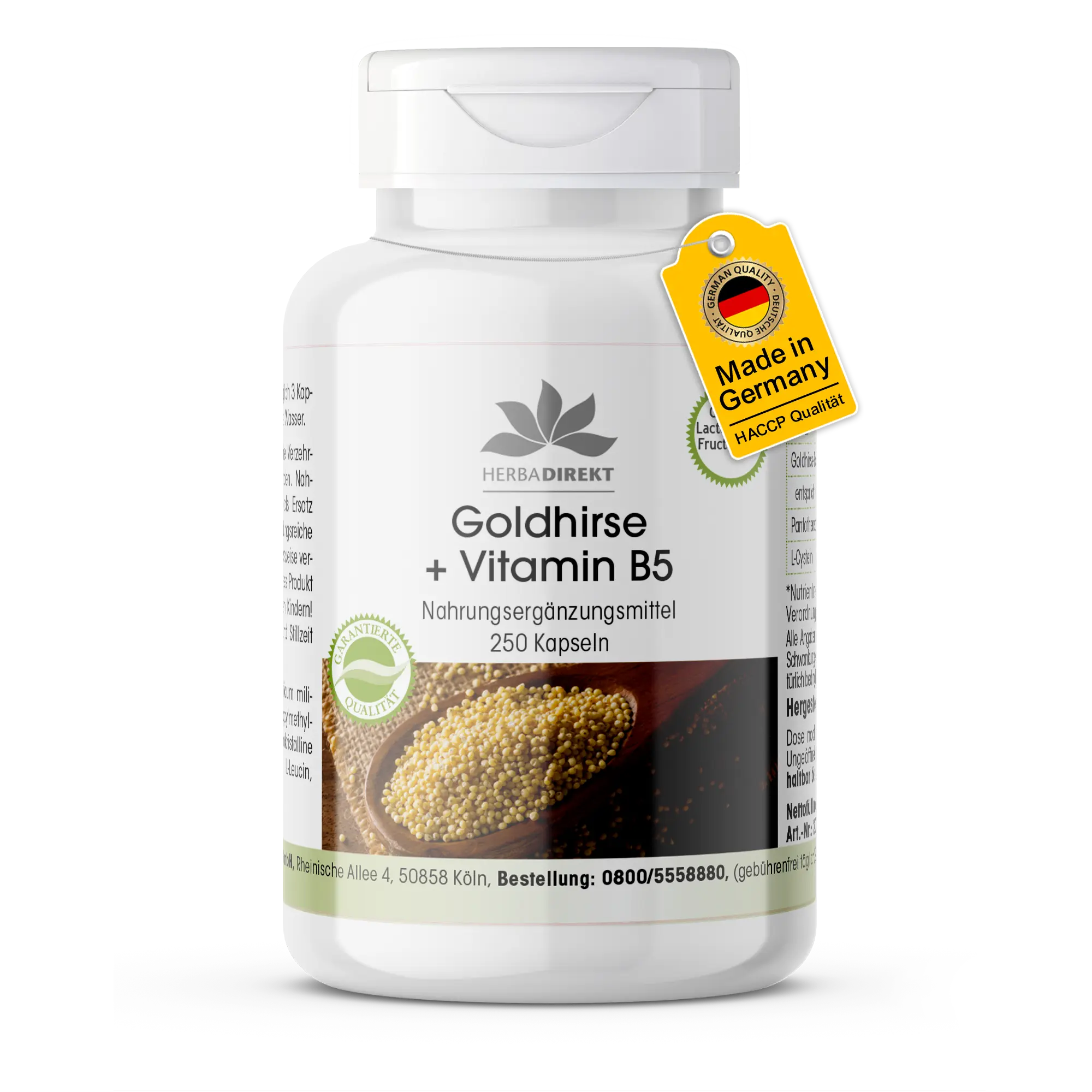 Goldhirse + Vitamin B5 - 250 Kapseln - Schluckfreundlich - Mit Pantothensäure - Für Energie, geistige Leistung uvm. | Warnke Vitalstoffe