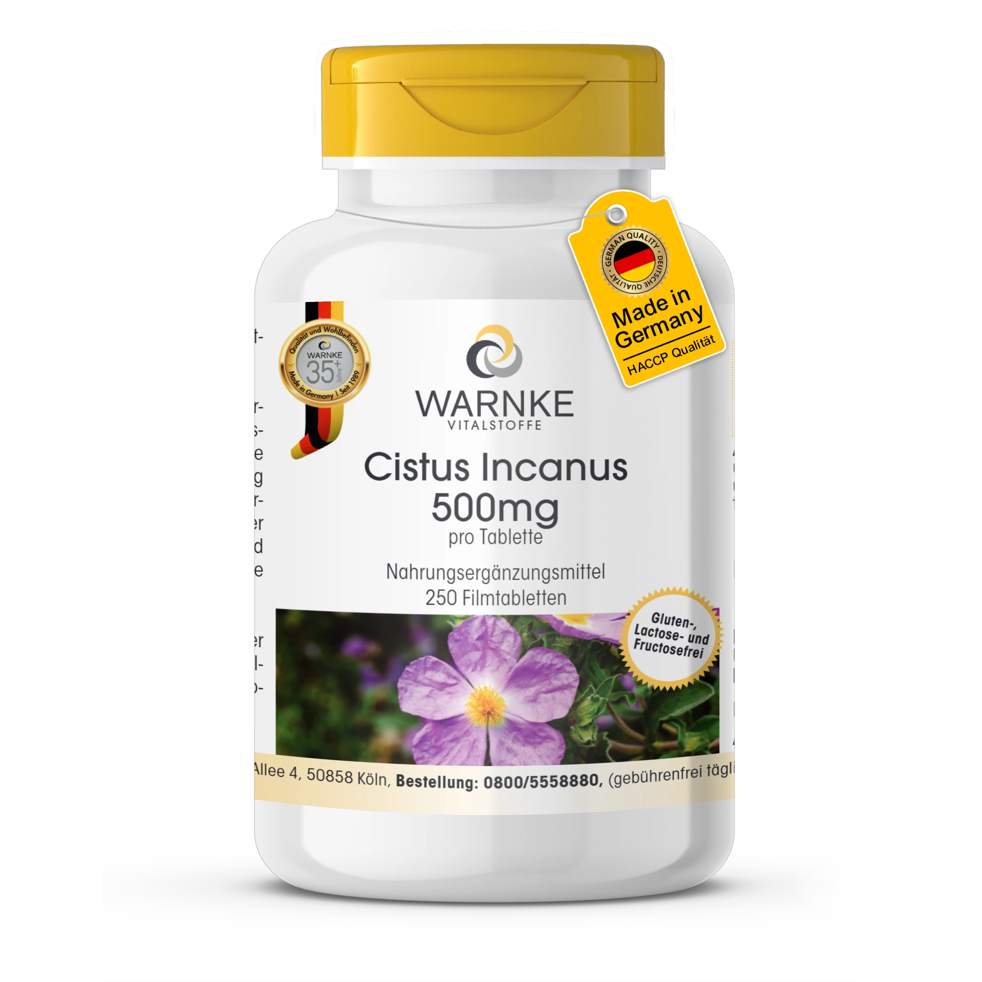 Cistus Incanus 500mg - 250 Filmtabletten - vegan | Warnke Vitalstoffe