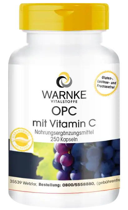 OPC met Vitamine C 250 capsules