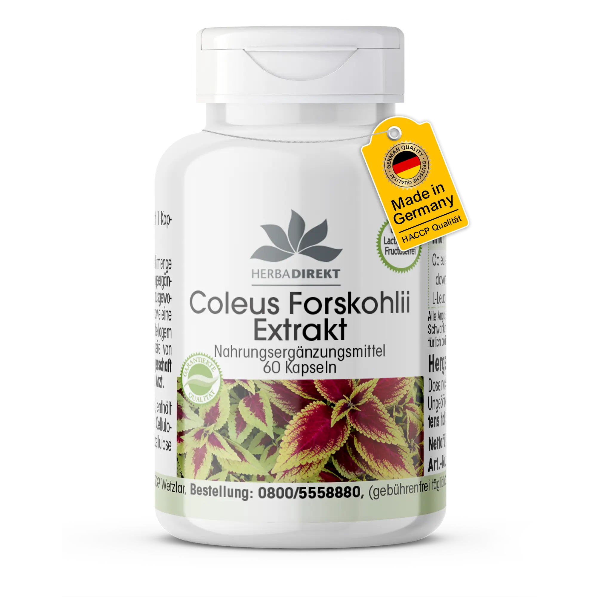 Coleus Forskohlii Extrakt 50mg - 60 Kapseln - Schluckfreundlich - Vegan | Warnke Vitalstoffe