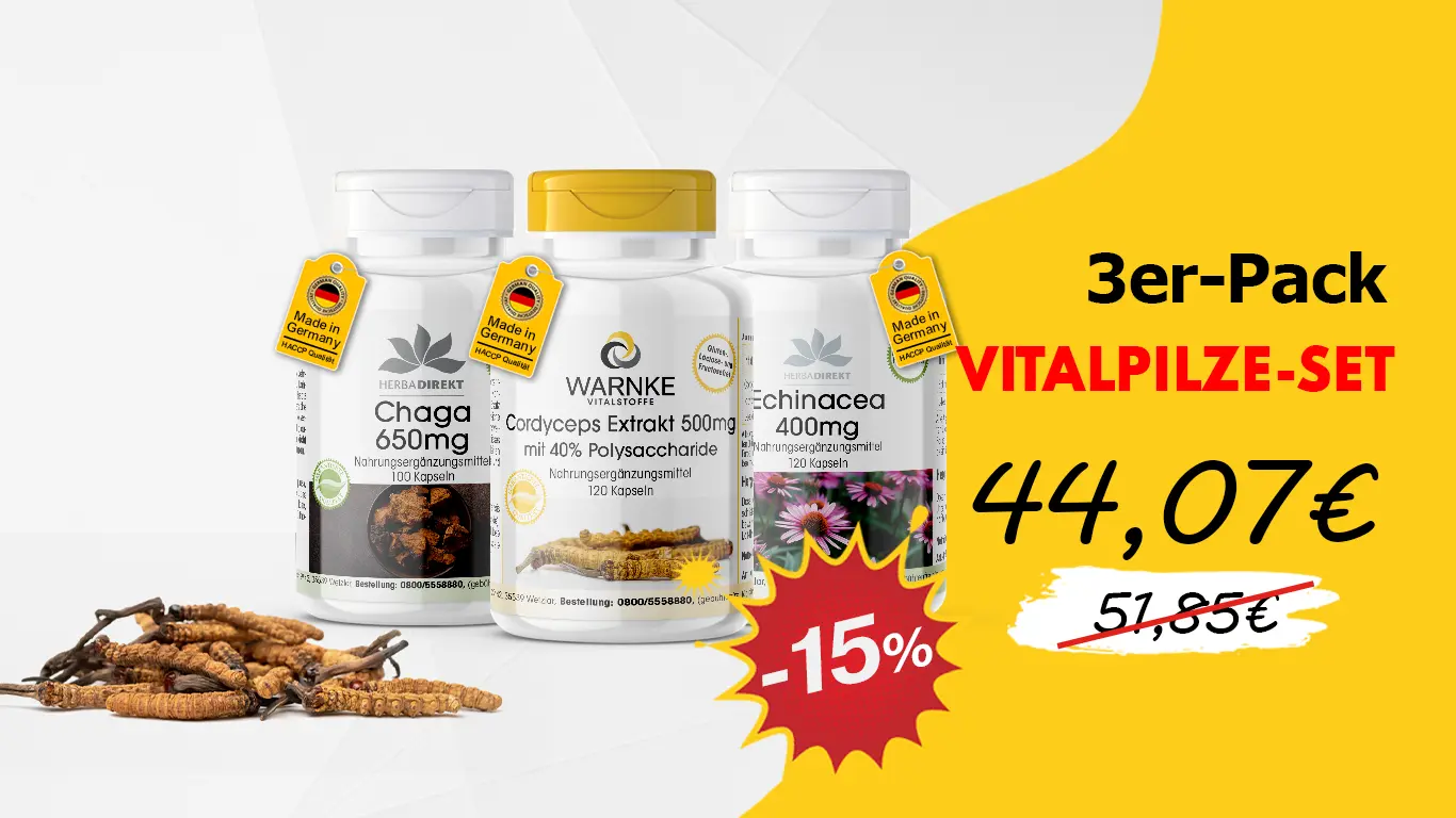 VITALE PADDENSTOELEN SET | Set van 3