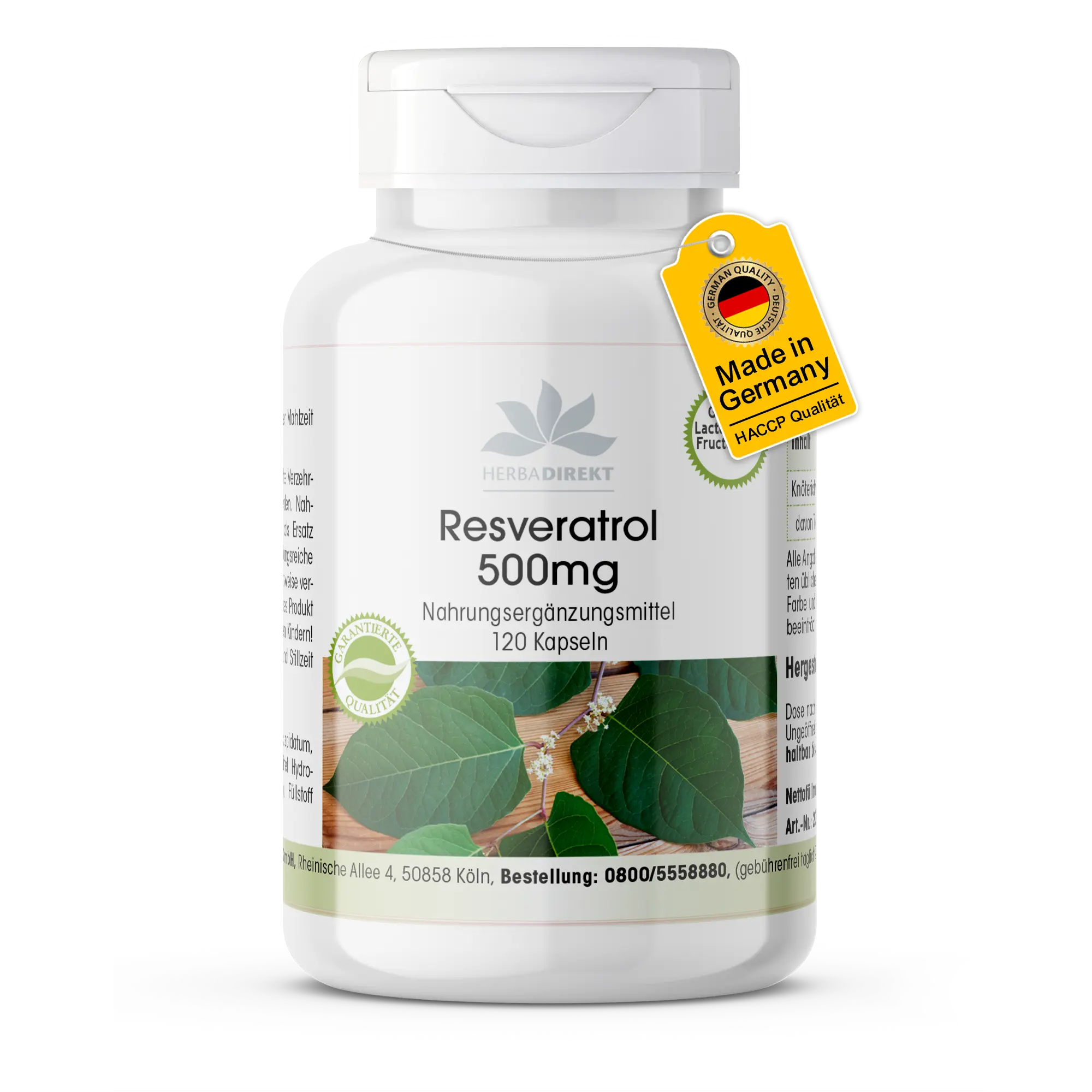 Resveratrol 500mg from knotweed extract
