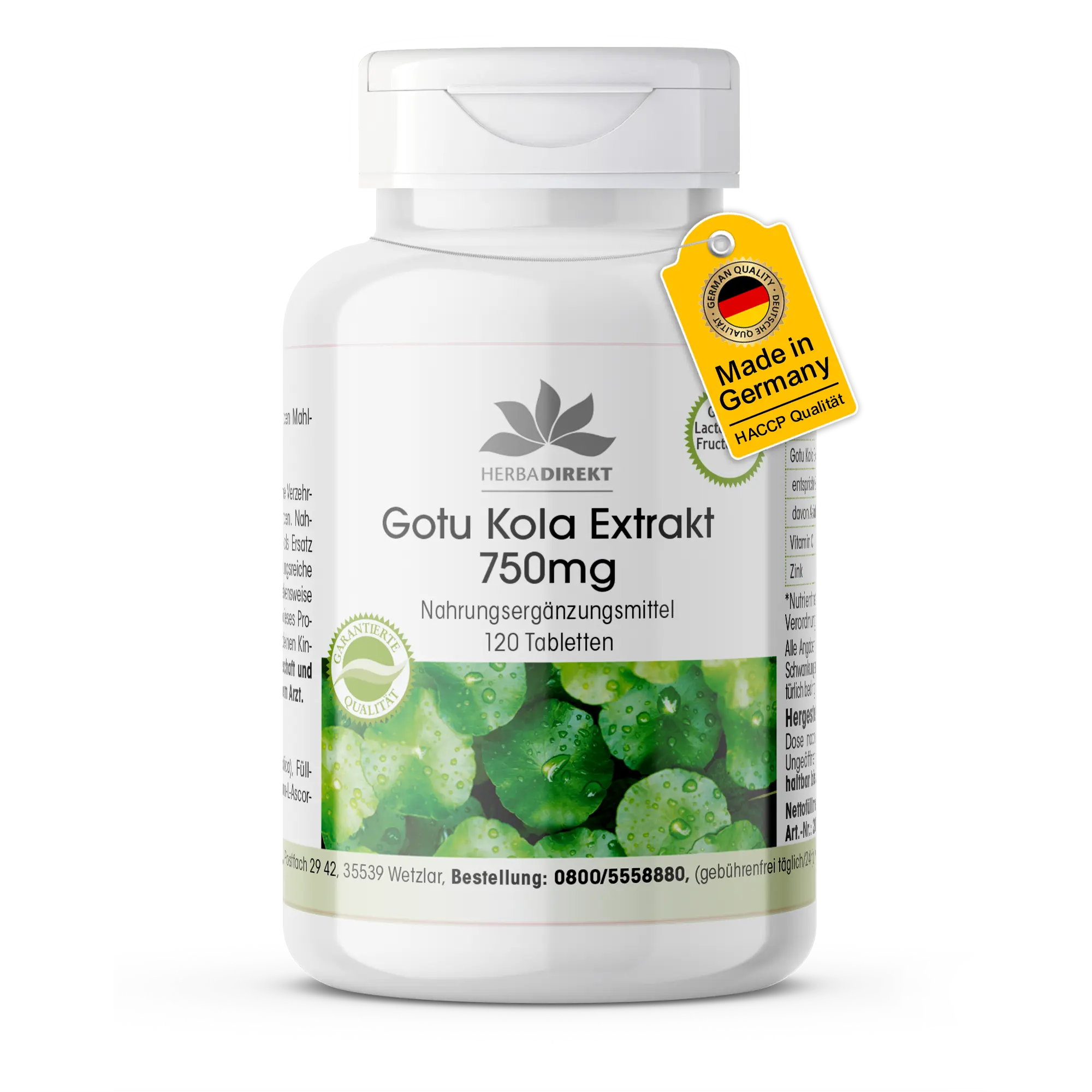 Gotu Kola Extrakt 750mg - 120 Tabletten - mit Vitamin C und Zink - für Immunsystem, Haut uvm. | Warnke Vitalstoffe