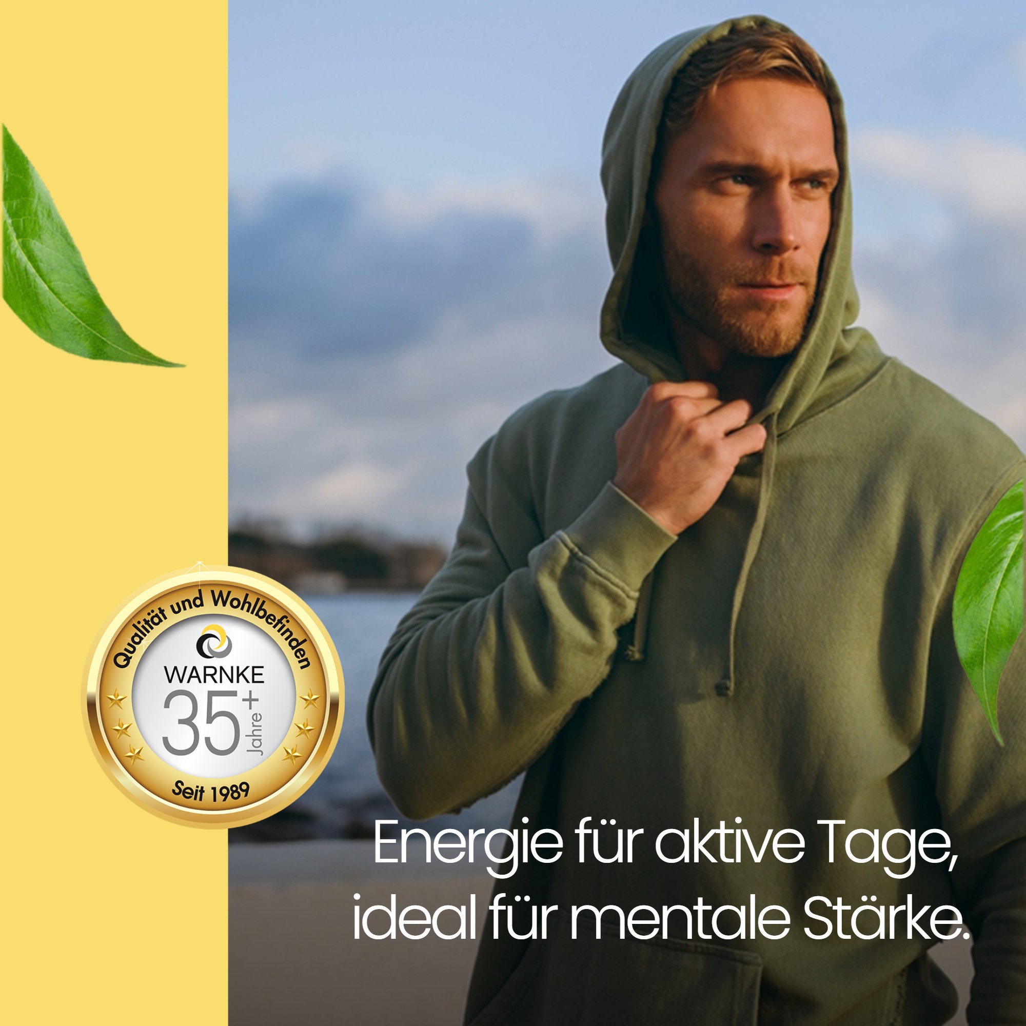 Vitamina B1 250mg - 100 compresse - per energia, cuore e molto altro - ad alto dosaggio & vegano | Warnke Vitalstoffe