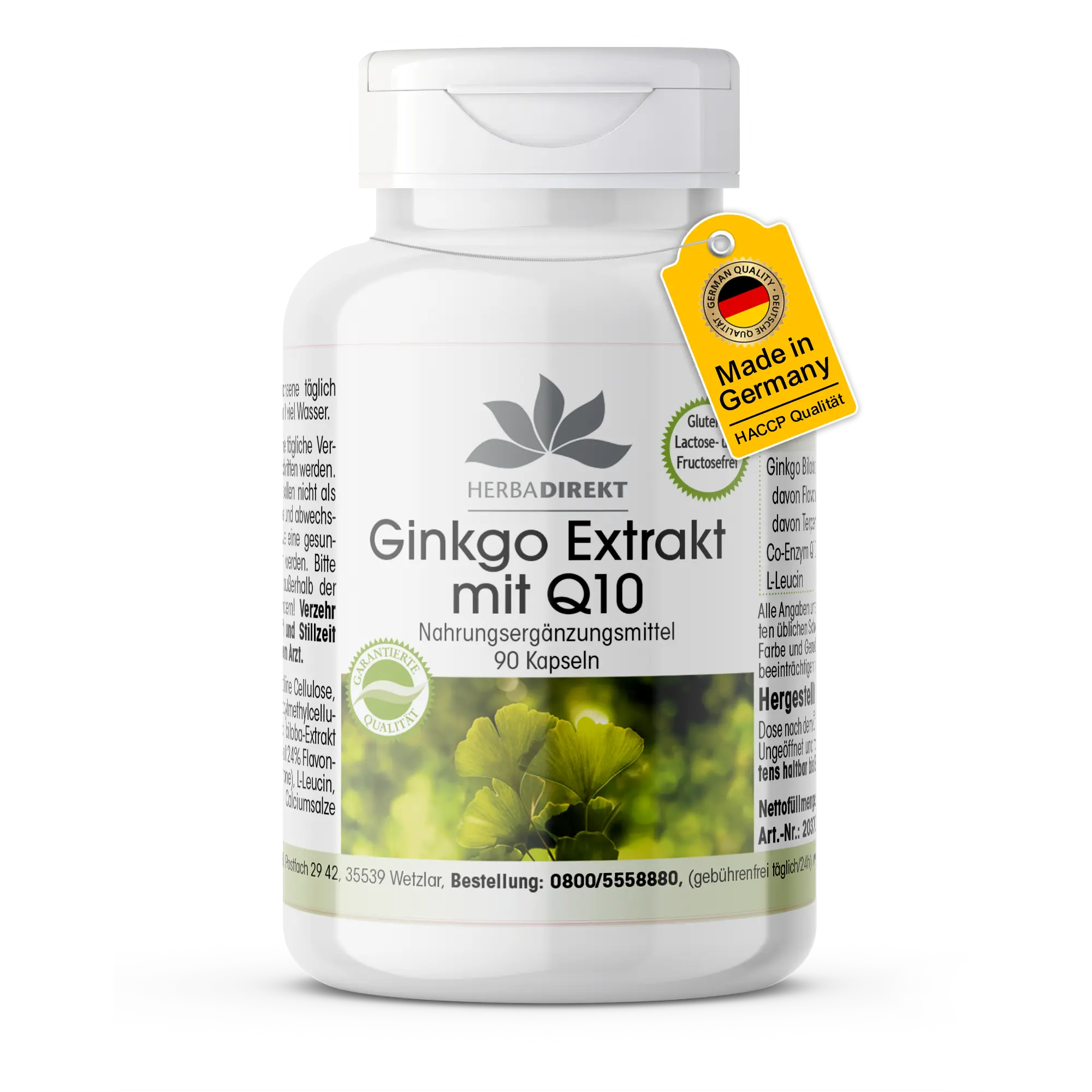 Ginkgo-Extrakt mit Q10 - 90 Kapseln - Schluckfreundlich - Vegan | Warnke Vitalstoffe