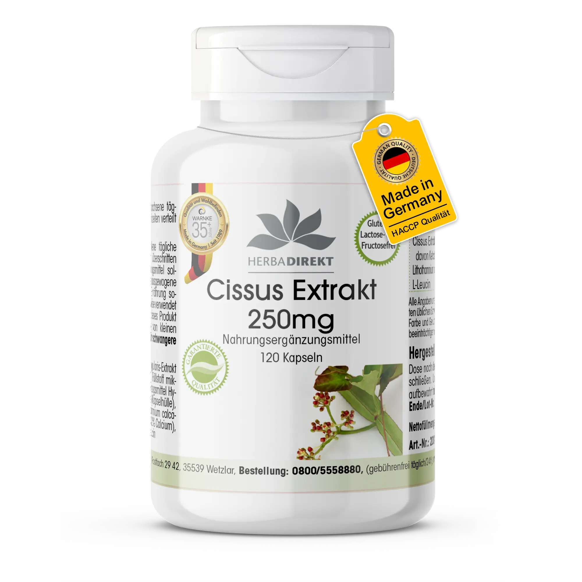 Cissus Extrakt 250mg - 120 Kapseln| Warnke Vitalstoffe