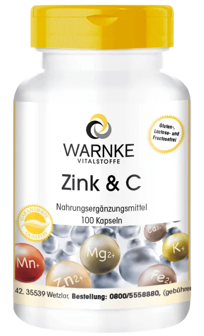 Zink & Vitamine C 100 Capsules