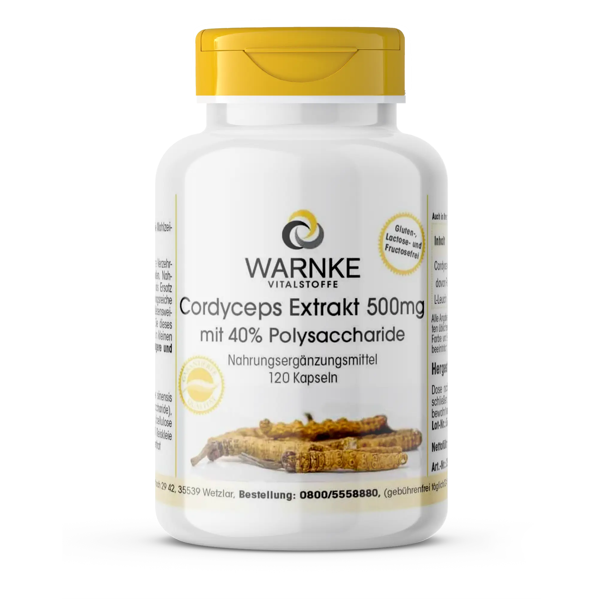 Cordyceps Extrakt 500mg mit 40% Polysaccharide - 120 Kapseln - Schluckfreundlich - Vegan | Warnke Vitalstoffe