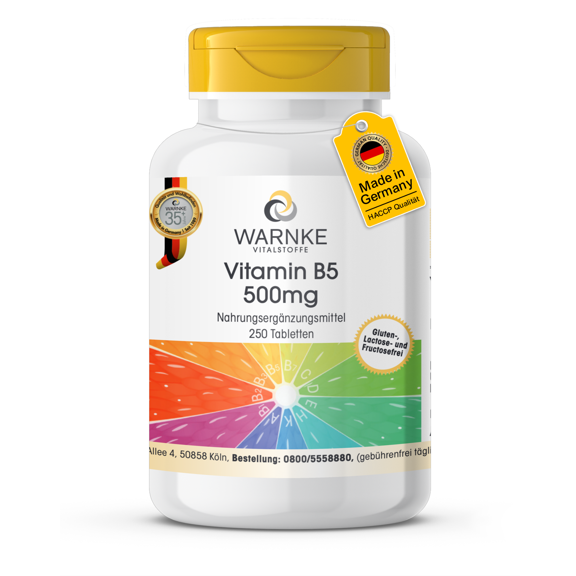 Vitamine B5 500mg - 250 tabletten - voor mentale prestaties, energie en meer - Hooggedoseerd & veganistisch | Warnke Vitalstoffe
